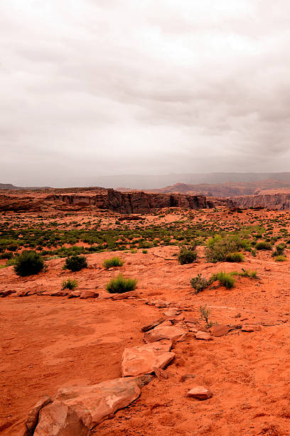istock The Path to Horse Shoe Bend Arizona 2244323859