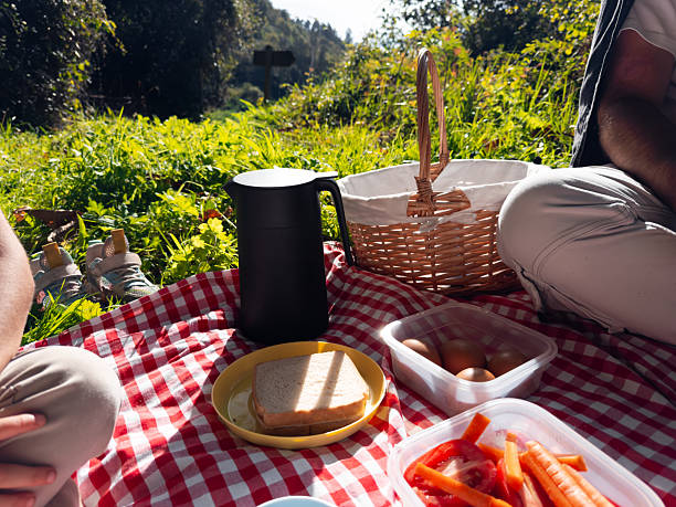 Outdoor picnic with sandwiches and vegetables on checkered blanket. High quality.