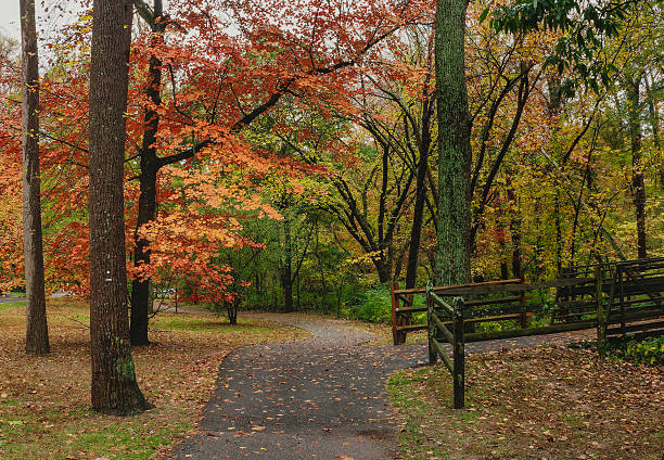 istock A damp Autumn day in Sligo Creek Park 2244326210