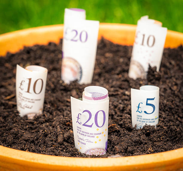 istock Organic money growth - Cultivating captal 2244328807