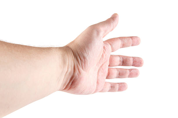 istock Adult male hand open palm up against white studio background 2244330644