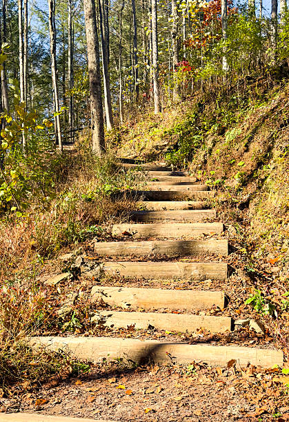 istock Wooden Forest Stairway Leading Up a Sunlit Hill 2244330765