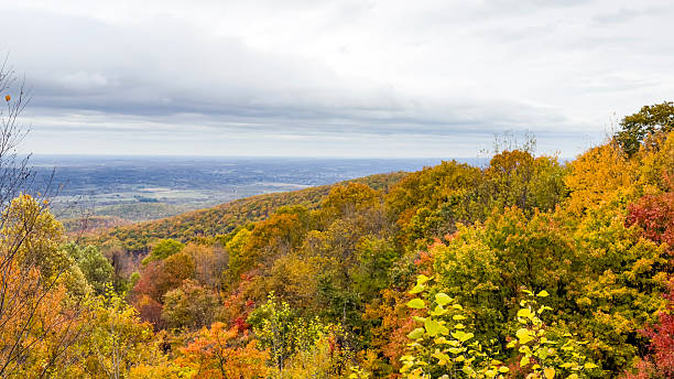 istock Colorful Autumn Forest Overlooking Valley Under Cloudy Sky 2244330889