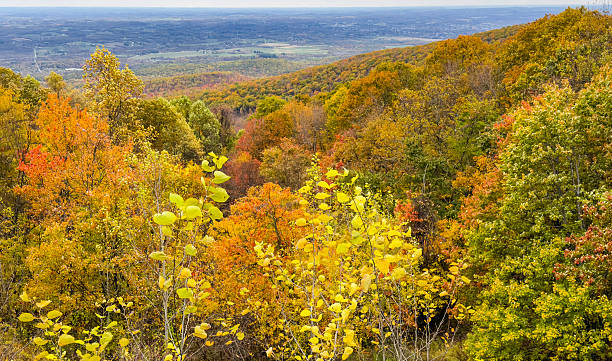 istock Autumn Valley Landscape with Golden and Red Forest Under Cloudy Sky 2244330906