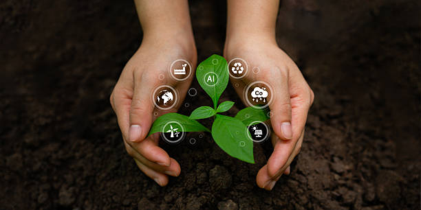 istock Sustainable growth and digital technology with AI and clean energy for the environment 2244332636