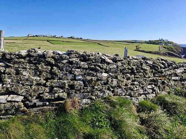 istock Agricultural stone hedgerow covered in lichen on the Lizard Peninsula , Cornwall UK 2244338971