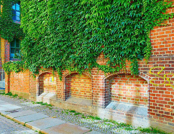 Green wall on exterior of old building