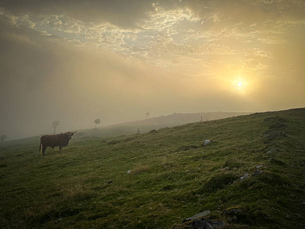 istock Sunrise at the GR11 2244341594