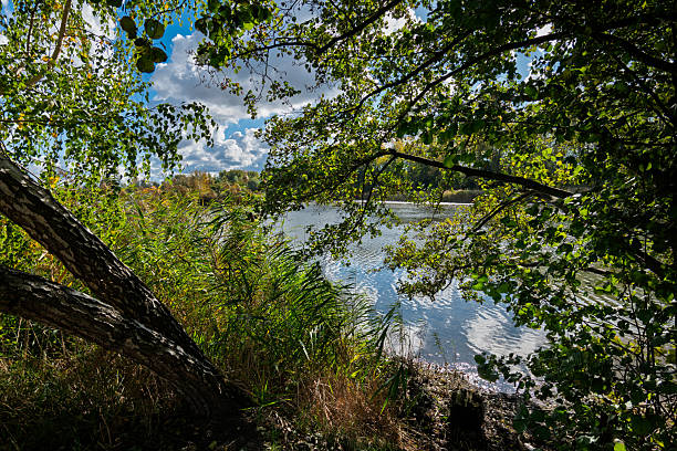 istock Lush Autumn Foliage by Forest Lake 2244341677