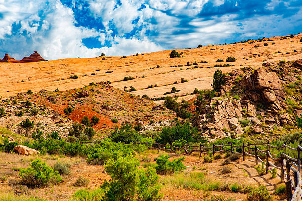 A vast expanse of ochre sandstone rolls beneath a brilliant, unsettled sky. Wisps of cloud swirl above sunlit ridges, while a weathered wooden fence meanders through the foreground, leading the viewer’s eye toward the golden plateau. Flecks of red and green vegetation punctuate the arid landscape, revealing life amid desolation.
