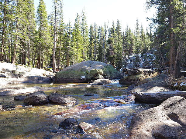 istock Scenery in Yosemite National Park 2244345312