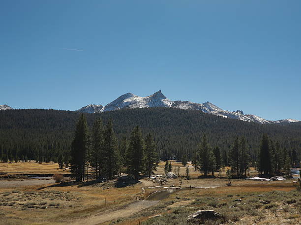 istock Scenery in Yosemite National Park 2244345358