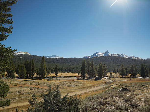 istock Scenery in Yosemite National Park 2244345360
