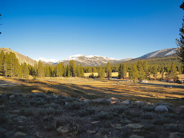 istock Scenery in Yosemite National Park 2244345658