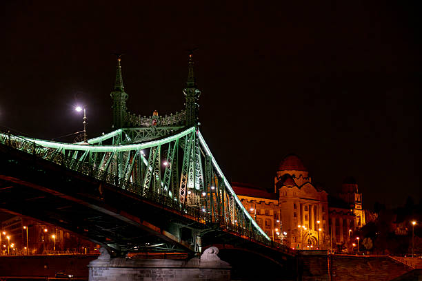 The iconic Elizabeth Bridge spans the Danube River in Budapest, Hungary, glowing with green illumination against a dark night sky. The suspension bridge's cables and structure are highlighted in vibrant green, with the Hungarian Parliament Building visible in the background, its dome topped with a red roof and lit by warm orange lights. Street lamps along the riverbank add scattered yellow glows to the scene. This nighttime urban landscape captures the architectural grandeur of Budapest's landmarks, evoking a sense of historical elegance and modern vibrancy. Ideal for commercial uses in travel magazines, tourism websites, cityscape illustrations in books, promotional materials for European destinations, or articles on urban night photography and architecture. No people are present, focusing solely on the illuminated structures and river setting.