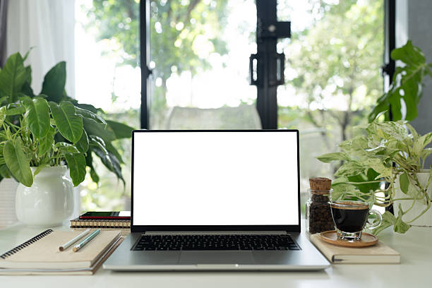 istock Laptop, coffee glass cup and plants pot arranged on table cozy workspace 2244364430