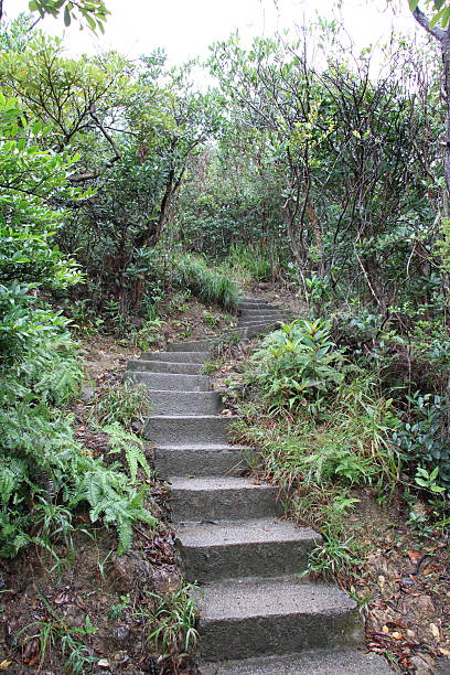 istock Hiking on the Hong Kong Peak 2244365966