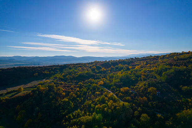 Lush green and yellow trees covering rolling hills under a clear blue sky
