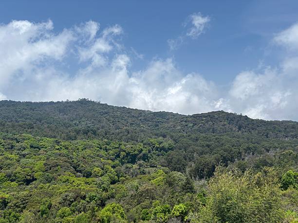 istock Verdant Mountain Range Under a Blue Cloud-Streaked Sky 2244368916
