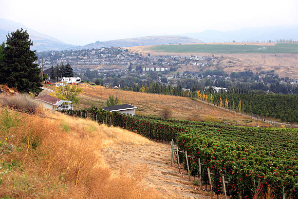 istock Autumn Apple Orchards In Harmony With Urban Development 2244370471