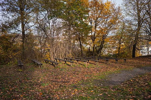 Autumn scene with rows of wooden benches in a park. The benches are empty, awaiting visitors to enjoy the fall foliage and outdoor space.