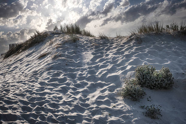 Dramatic sand dunes landscape under a dark cloudy sky The sun casts a strong light on the rippled sand texture and maritime grass creating a feeling of wildness and isolation