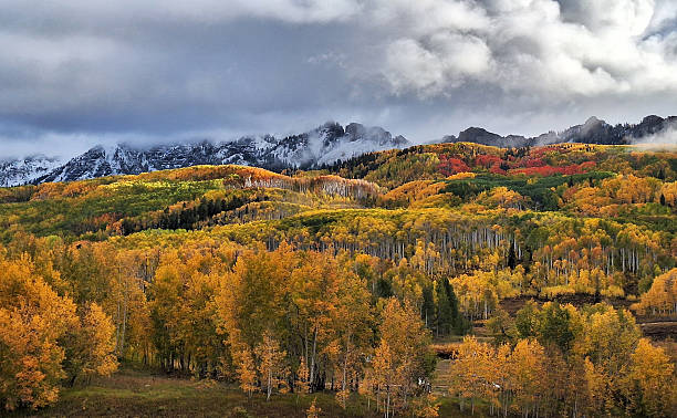 istock Autumn in Colorado Mountains 2244380066