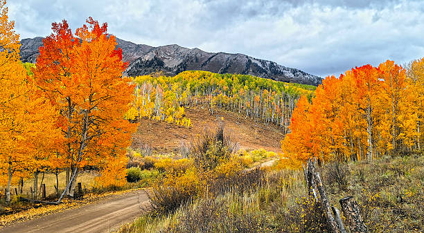 istock Autumn in Colorado Mountains 2244380132