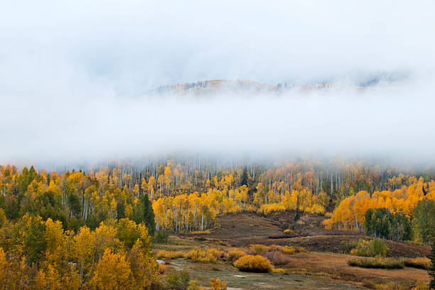 Scenic mountain view with haze and fog lifting and blue sky emerging with autumn leaf colors.