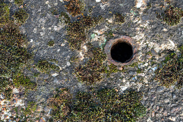 Top-down, full-frame close-up of a circular rusted metal pipe/hole situated slightly off-center on a heavily textured concrete surface covered by dark moss and pebbles