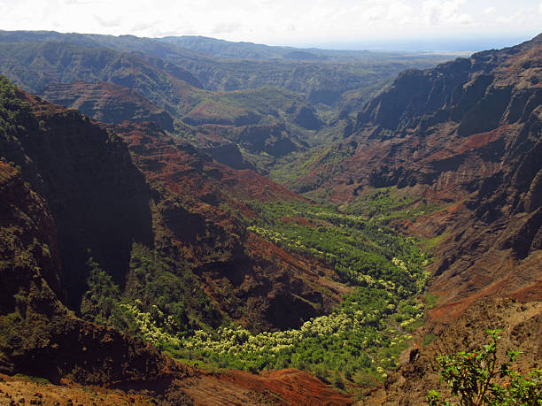 istock Waimea Canyon, Kauai 2244381918
