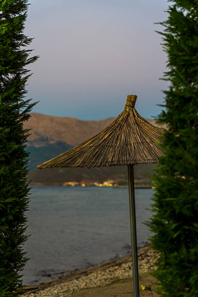 Rustic Straw Beach Umbrella Framed by Green Trees with a Peaceful Lake and Distant Mountains at Sunset