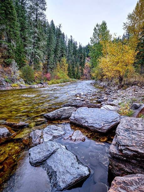 Large and small rocks layer the bottom of a section of the St. Joe River during autumn in north Idaho.