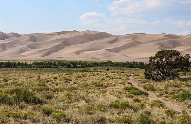istock Walking trail at Great Sand Dunes National Park, Mosca, Colorado 2244389943