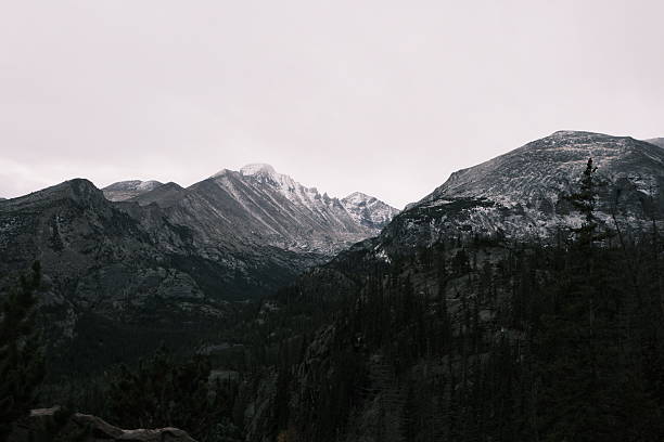 mountains in the fog