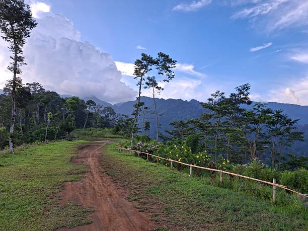 istock A natural landscape with a dirt path running down the center, surrounded by trees and green grass. In the background, mountains are visible, shrouded in a thin mist under a blue sky with white clouds. 2244390766
