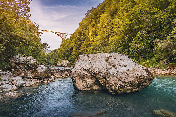 Serene Tara River flowing through a deep canyon, featuring the iconic Durdevica bridge connecting lush forests, symbolizing travel