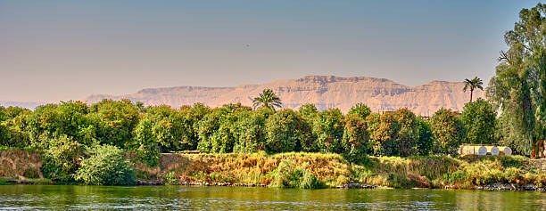 Lush green trees line the banks of the Nile River while a backdrop of rugged and arid mountains adds contrast to the serene water. A beautiful natural harmony is on display.