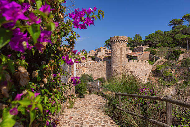 Medieval stone tower and purple flowers on path in Tossa de Mar Spain
