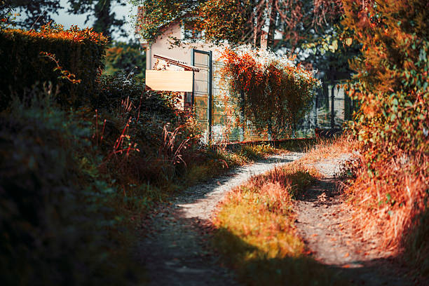 Sunny autumn scene with narrow dirt path curving between colorful bushes and overgrown grass, leading to a cozy house with garden fence covered in bright red and orange ivy leaves