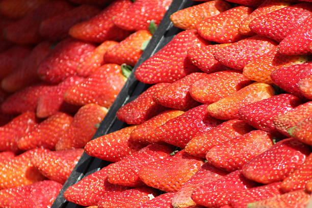 These photos were taken naturally and casually, during a morning walk. There are a variety of elements, textures, insects, colors, and animals. They are all part of a whole that lives in San Isidro.Estas fotos son tomadas en forma natural y casual, en el paseo matutino. Hay variedad de elementos, texturas, insectos, colores y animales. Todos forman parte de un todo que vive en San Isidro.