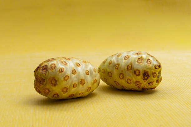 Morinda citrifolia fruit has many benefits