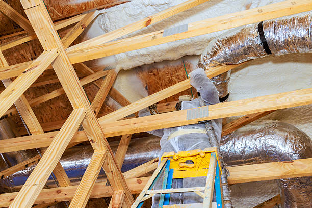 istock Worker on ladder installing insulation in attic during home renovation 2244404805