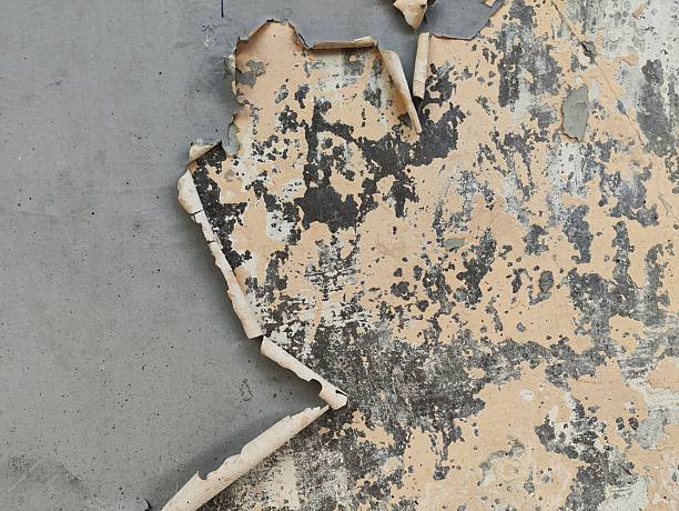 istock a damaged wall texture showing a large section of gray paint peeling 2244405118