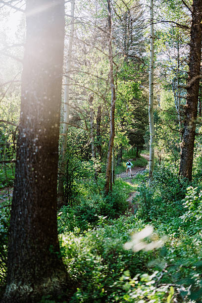 istock Trail Runner Crossing a Mountain Stream 2244408898