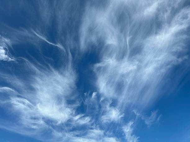 Wispy, thin cirrus clouds against blue sky