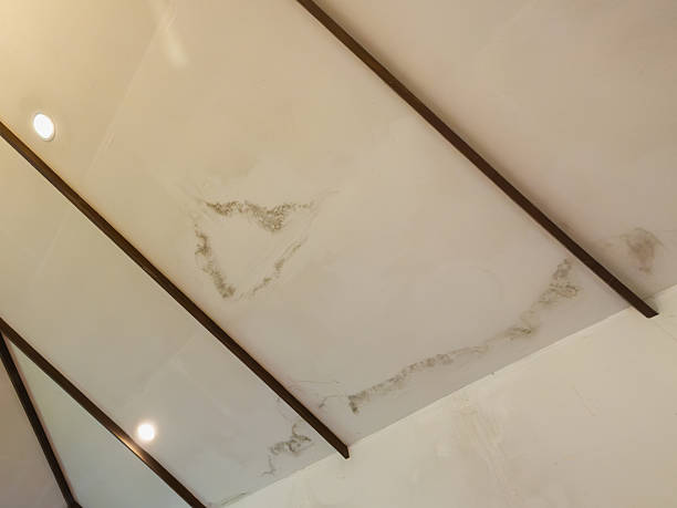 istock Roof leak cause Ceiling stain, Ceiling water damage. 2244409409