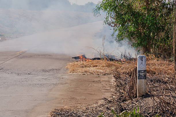Dry grass fire on the side of the road.