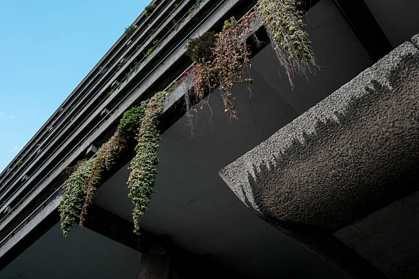 Brutalist architecture of the barbican estate in london displays its concrete facade and balconies, softened by lush green and red plants trailing downwards against a clear blue sky