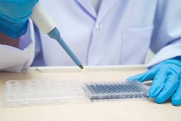 istock Scientist with cell culture in sample micro plate for research in science laboratory. 2244414936